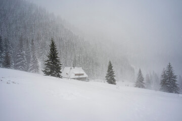 Snow blizzard and bad weather in the Tatras. Hala Kondratowa.