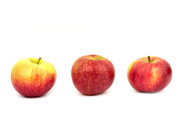 The delicious sweet apple