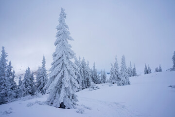 Fototapeta na wymiar Winter landscape of the Tatra Mountains. Hiking trail to Gasienicowa Valley.