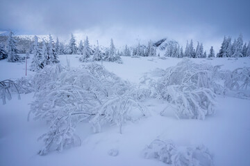 Winter landscape of the Tatra Mountains. Hiking trail to Gasienicowa Valley.