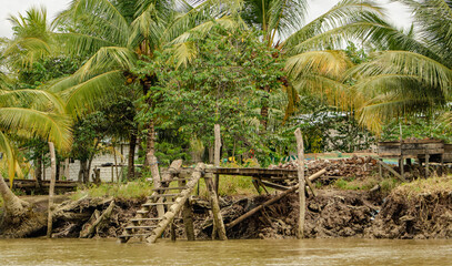 Obraz premium palm trees in the river of ecuador
