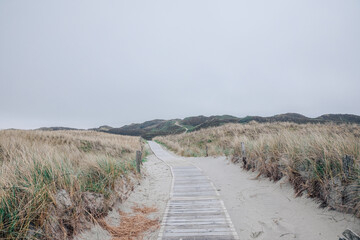 Path made of wooden slats. Path between the dunes on the North Sea. Vacation in the country by the North Sea 