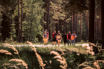 group of hikers walking on a sandy forest road