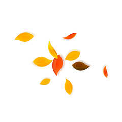 Falling autumn leaves. Red, yellow, green, brown n