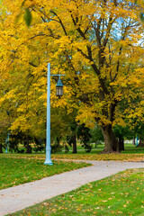 Colorful yellow Fall foliage and antique lamp on College Campus
