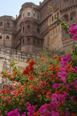 Obraz premium Flores y muros del fuerte Mehrangarh en las afueras de la ciudad de Jodhpur en Rajastán, India