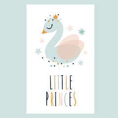 Little Swan Princess