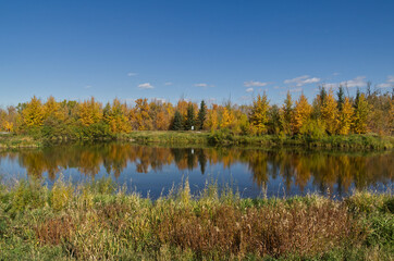 Pylypow Wetlands on a Clear Autumn Day