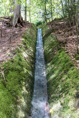 Little river throught the green and dark forest