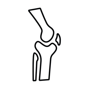 recommend clip art: Joint, anatomy, leg, bones, organ, skeleton outline icon. Line art sketch.