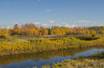 An Autumn Forest near a Calm Pond