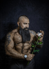 Brutal sexy man with black beard with naked hairy torso holds a rose in his hands