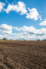 Fototapeta na wymiar Big brown fields of fertile soil and the blue sky with white clouds