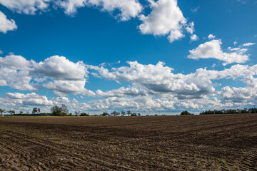 Big brown fields of fertile soil and the blue sky with white clouds