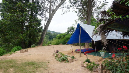 tent in the forest © Philipp