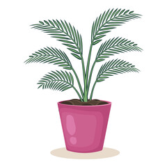Indoor plant in flower pot. Houseplant isolated on white background. Home decoration. Palm Tropical leaves. Vector illustration.
