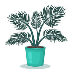 Indoor plant in flower pot. Houseplant isolated on white background. Home decoration. Palm Tropical leaves. Vector illustration.
