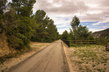 Fototapeta na wymiar Landscape along the ebro greenway in the province of Tarragona