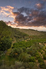 Landscape along the ebro greenway in the province of Tarragona