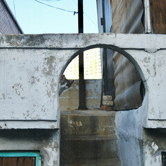 portrait of a street cat