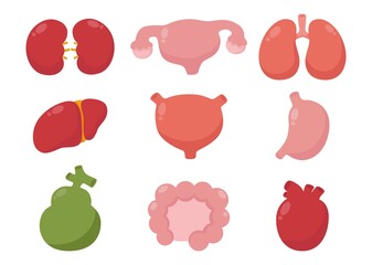 Human internal organs cartoon icon set Isolated on white background.  