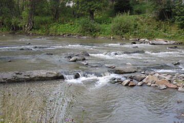 wild river in the wild