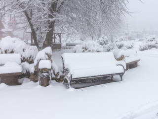 Winter, the first snowfall in the nature park, fluffy snow enveloped everything in a white blanket,...