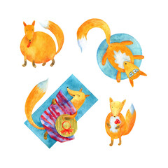 Fox family is a set with the image of a fox. Watercolor illustration for creating a design. Fox on vacation