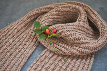 Handmade pretty knitted scarf isolated grey background