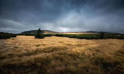 clouds over the field