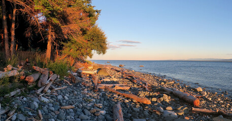 Quadra Island stony Beach at sunset