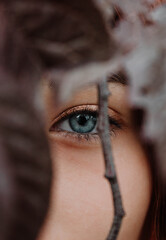 eye