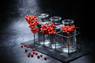 Still life of red mountain ash in glass vases on a black background in a counter light.