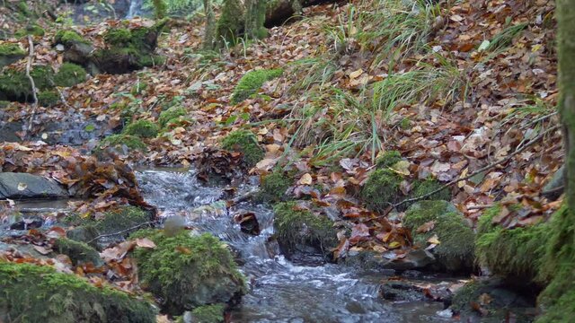 Bachlauf des Liedchenbachs bei Gr&auml;fendhron