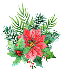Watercolor Christmas bouquet with poinsettia holly branches, leaves, berries, pine, spruce, green holly branches on a white background. Christmas flower arrangement for greeting card, design, social