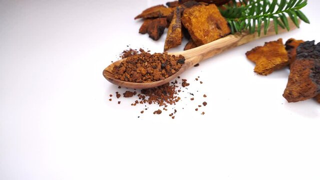 Chaga Mushroom and Powder on wooden Spoon isolated on white Background