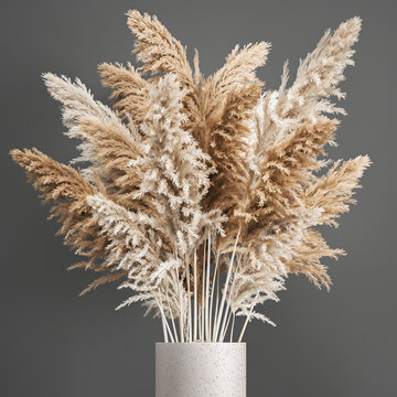 decorative bouquet of dried flowers in a vase with white pampas on a white background