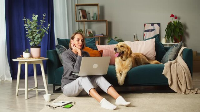 Young woman speaking on video call on laptop, sitting on floor in living-room and showing dog. Golden retriever lying on sofa. Obedient puppy breathing with tongue out, waiting for his owner, relaxing