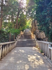 Escaliers en for&ecirc;t - Croatie