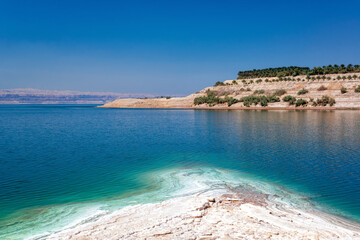 Shoreline of the Dead Sea in Jordan