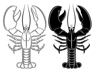 Vector set of detailed outline lobster and silhouette, in black color, isolated on white background.