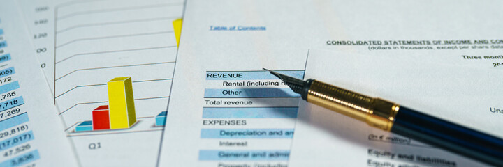 Financial analysis - income statement, business plan and balance the investment portfolio. Wide banner