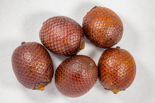 Buriti fruit (Mauritia flexuosa) in fine botanical and morphological details of the skin texture. top view