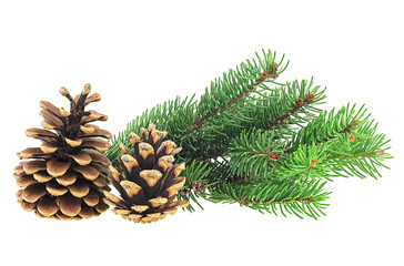 Christmas decoration - two pine cones with fir tree branch isolated on a white background.