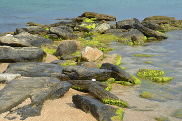 rocks and sea