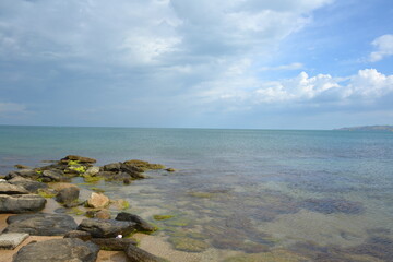 Beautiful stones with algae in the sea