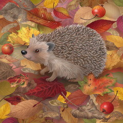 Autumn hedgehog many leaves