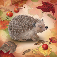 Hedgehog on leaves