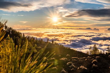 Wolken hängen am Berghang des Teide auf Teneriffa und werden von der untergehenden Sonne...