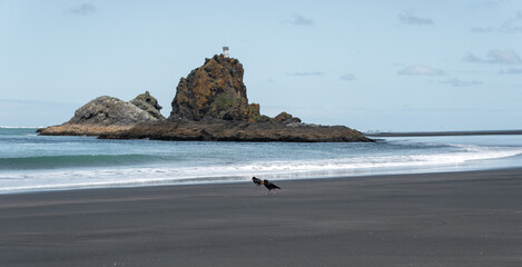 Whatipu cliffs and islands, Whatibu beach near Auckland